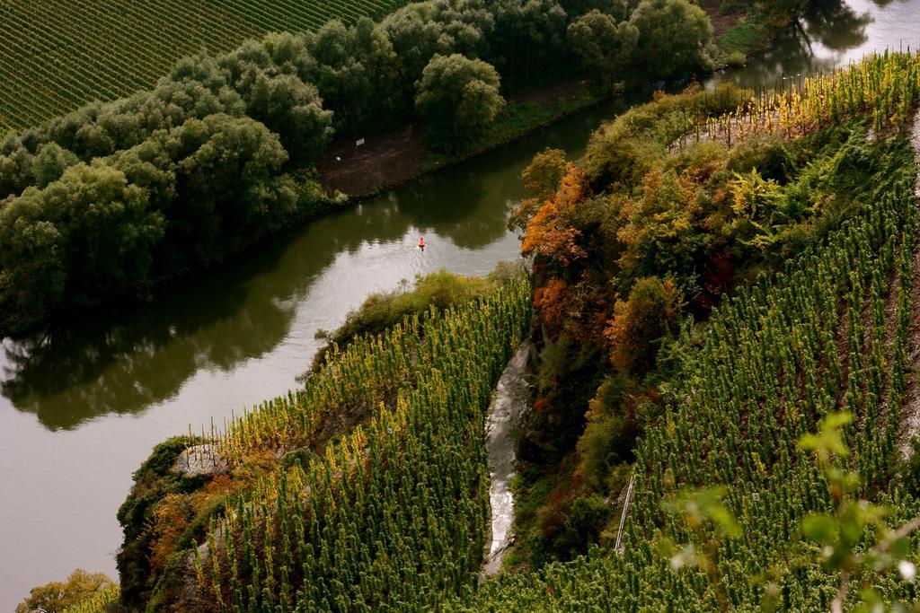 Affittacamere Bio-Weingut Staffelter Hof Kröv Esterno foto